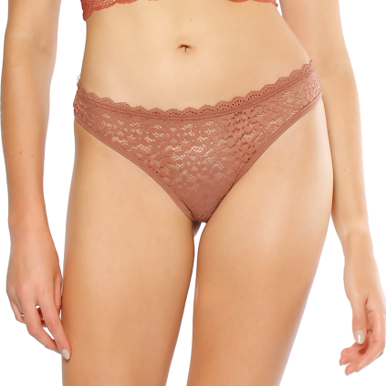 Women's Brown Angel Lace Bikini with Elastic Waist